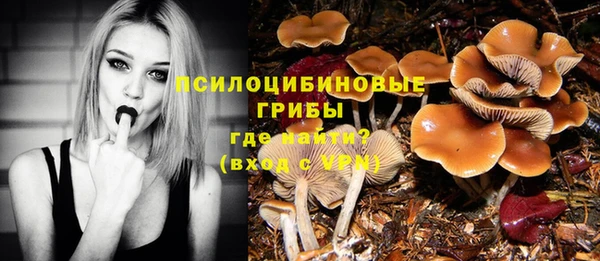 кристаллы Алзамай