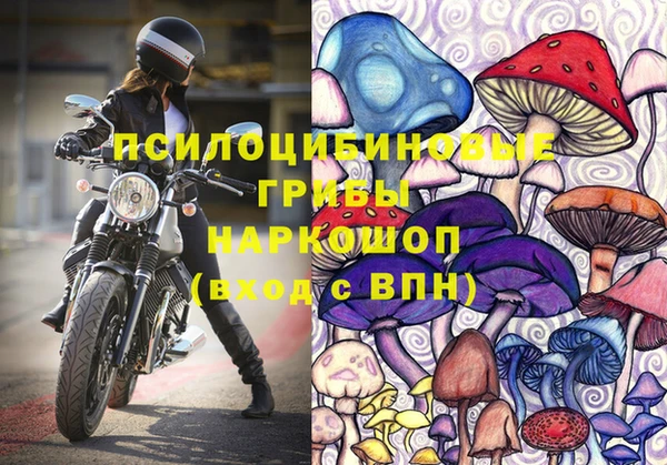 дмт Пестово