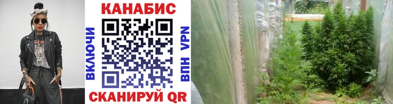 mega tor  где можно купить   Железноводск  Конопля Ganja 